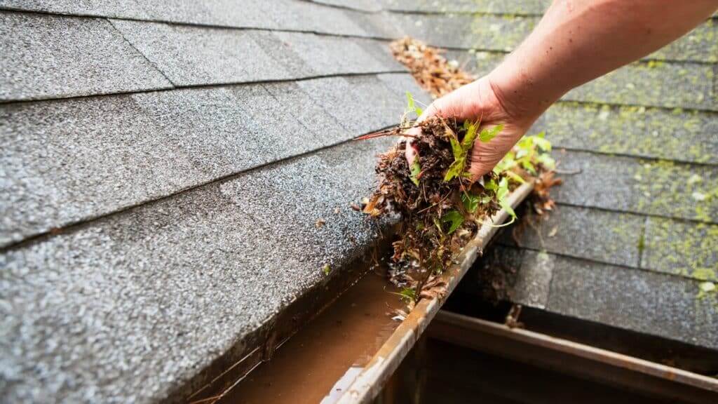 Winter Gutter Clean PRSE MI