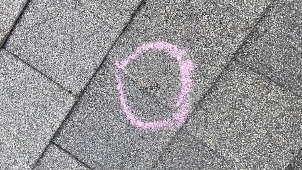 What Does Hail Damage Look Like on a Roof? A Michigan Homeowner's Guide