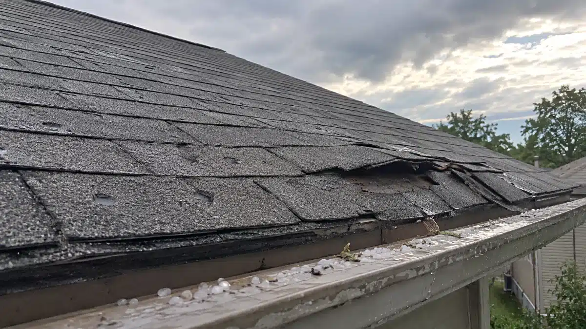 Wind Damage vs. Hail Damage: How to Tell the Difference on Your Michigan Roof