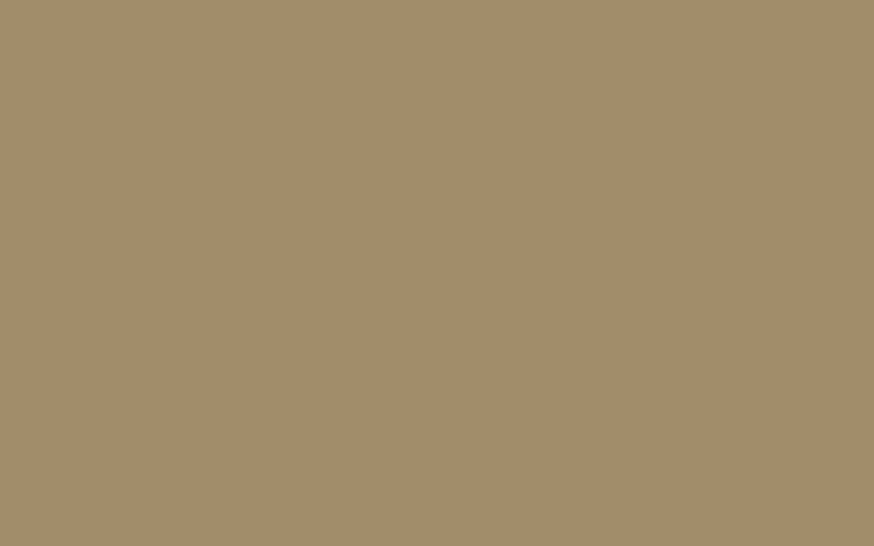 hardie khaki brown1
